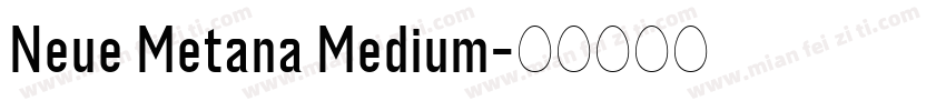Neue Metana Medium字体转换